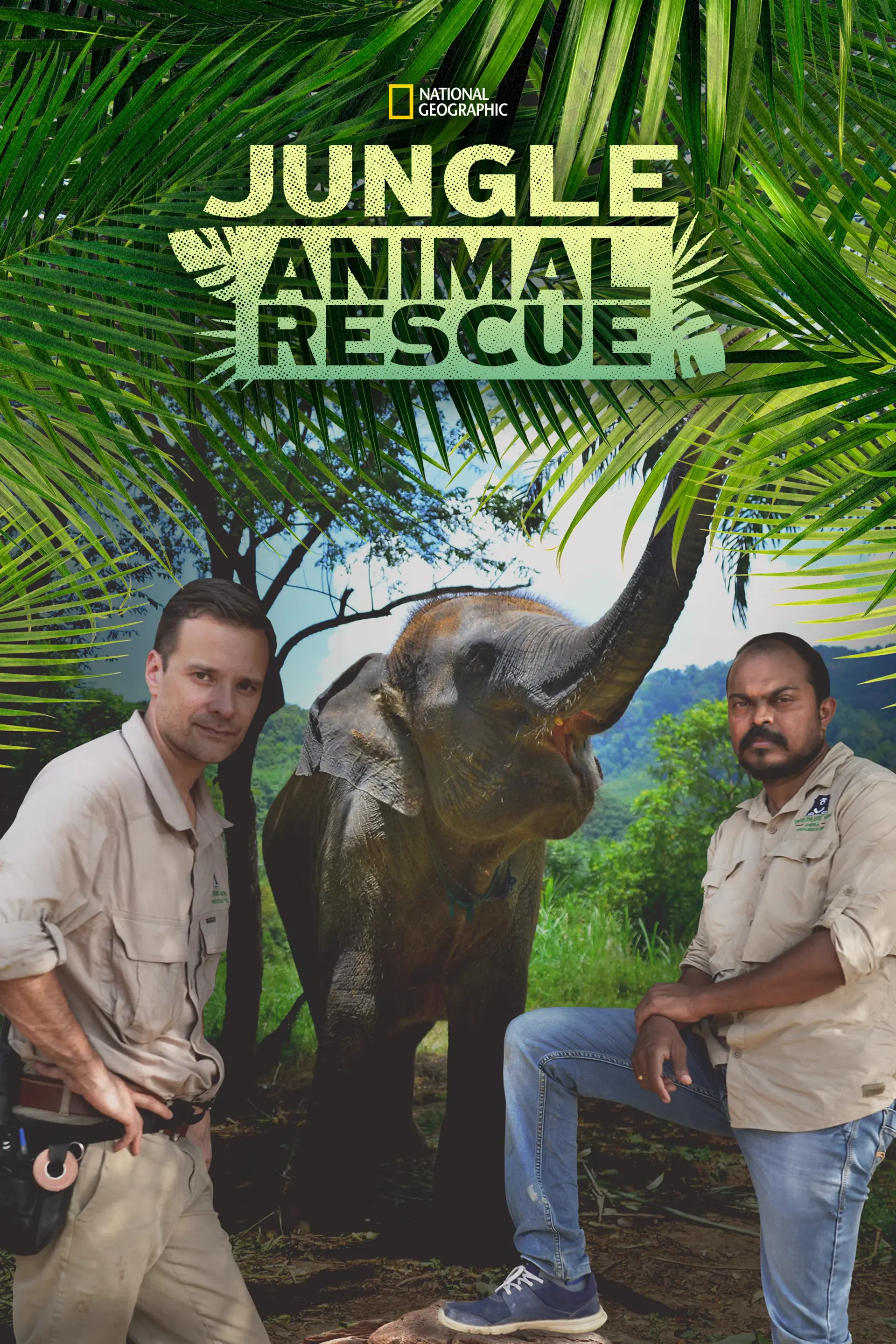 Jungle Animal Rescue