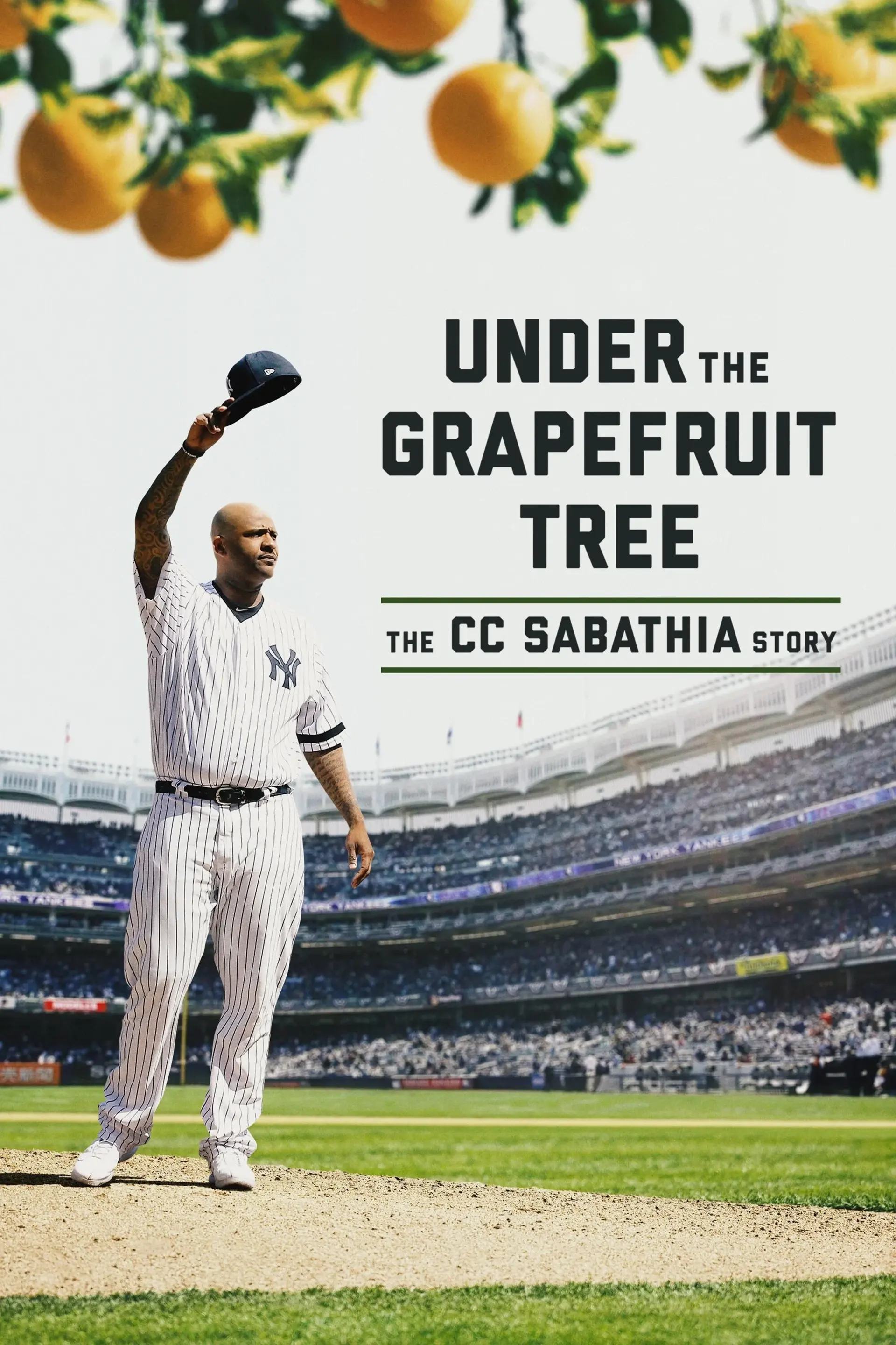 Under the Grapefruit Tree: The CC Sabathia Story