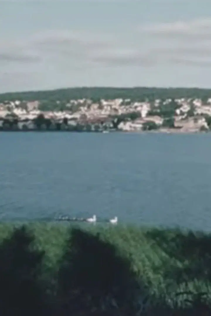 Ulricehamn, the town by Åsunden