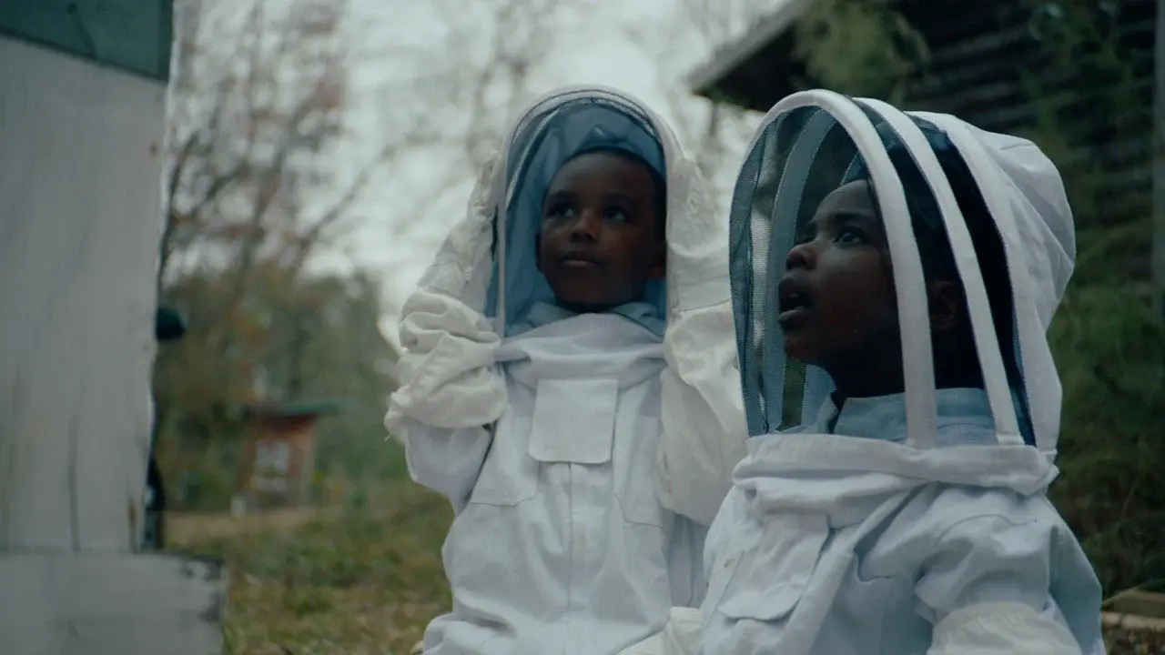 The Boys and the Bees