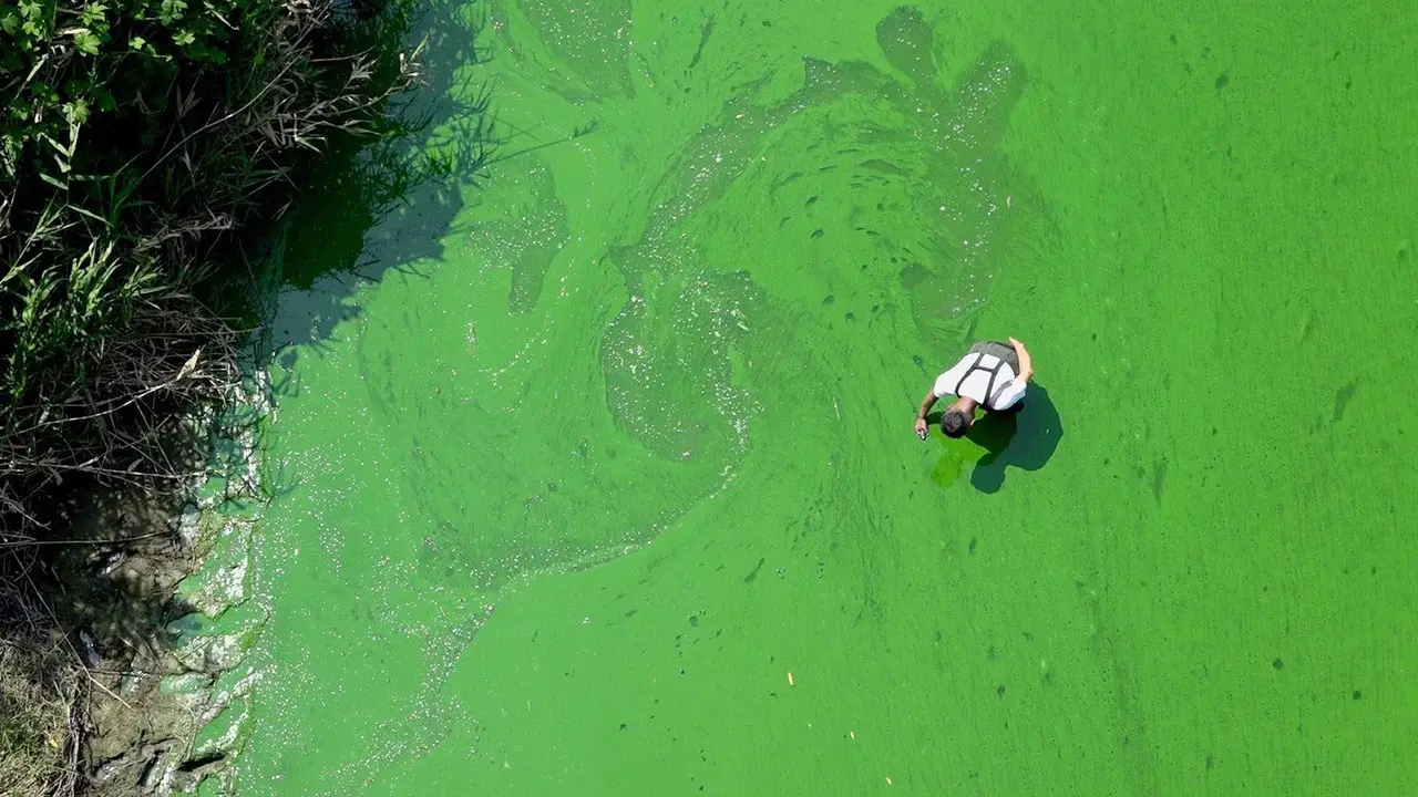 Rivercide: The Secret Six