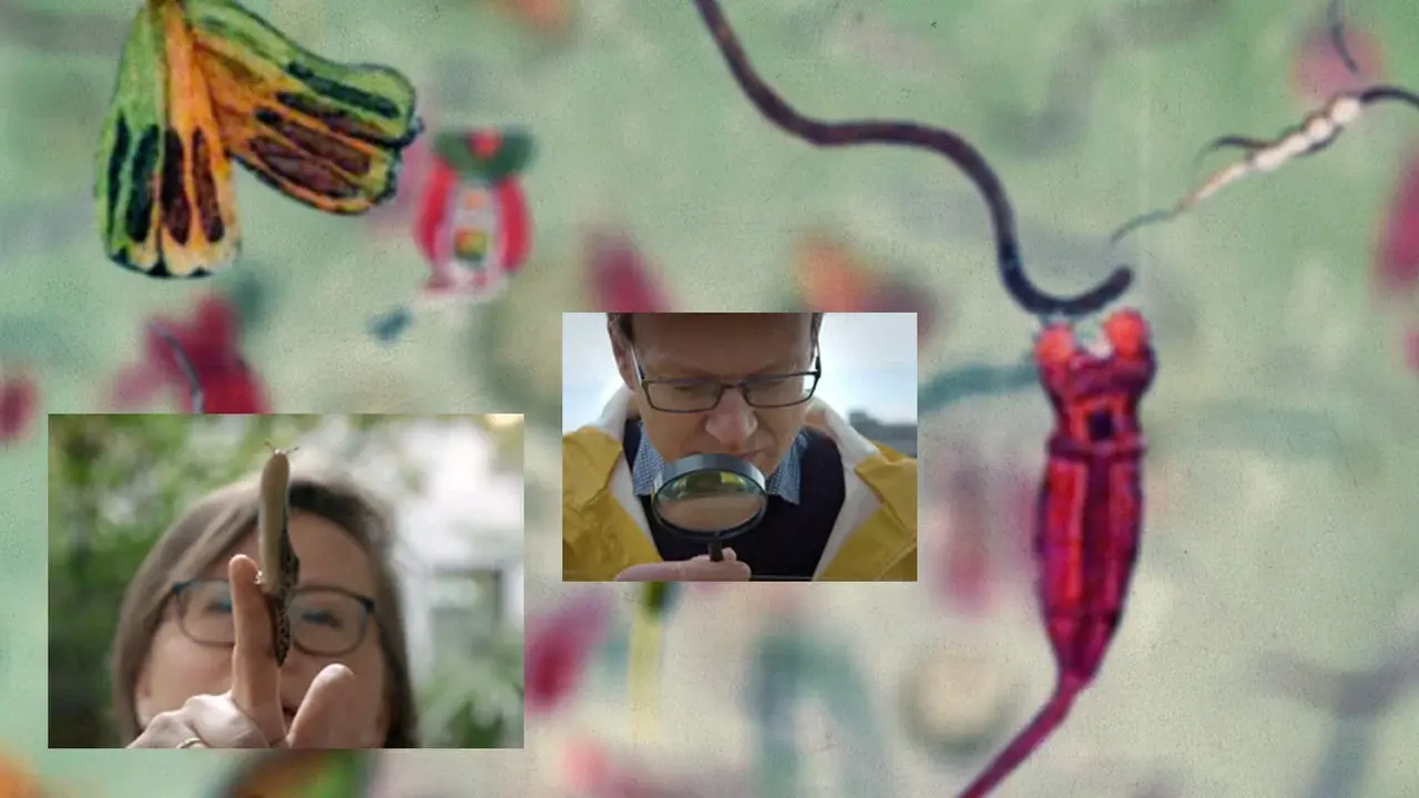 42: The Answer to Almost Everything