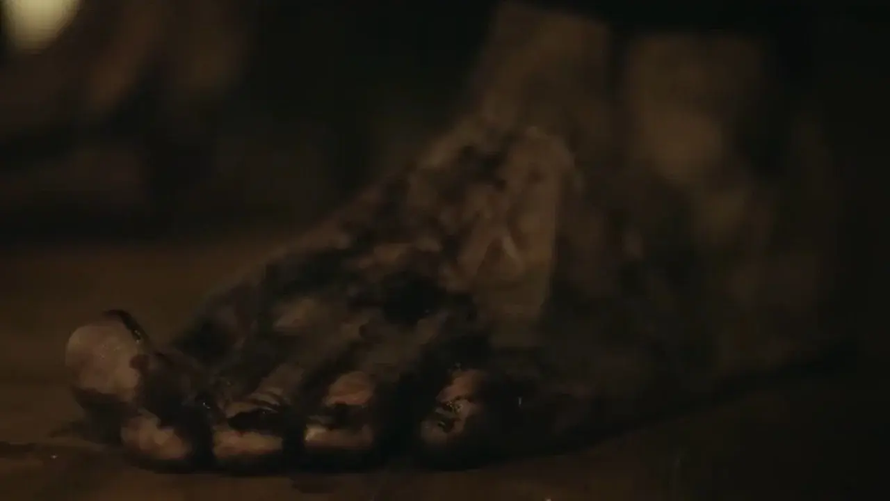 Portraits of the Apocalypse