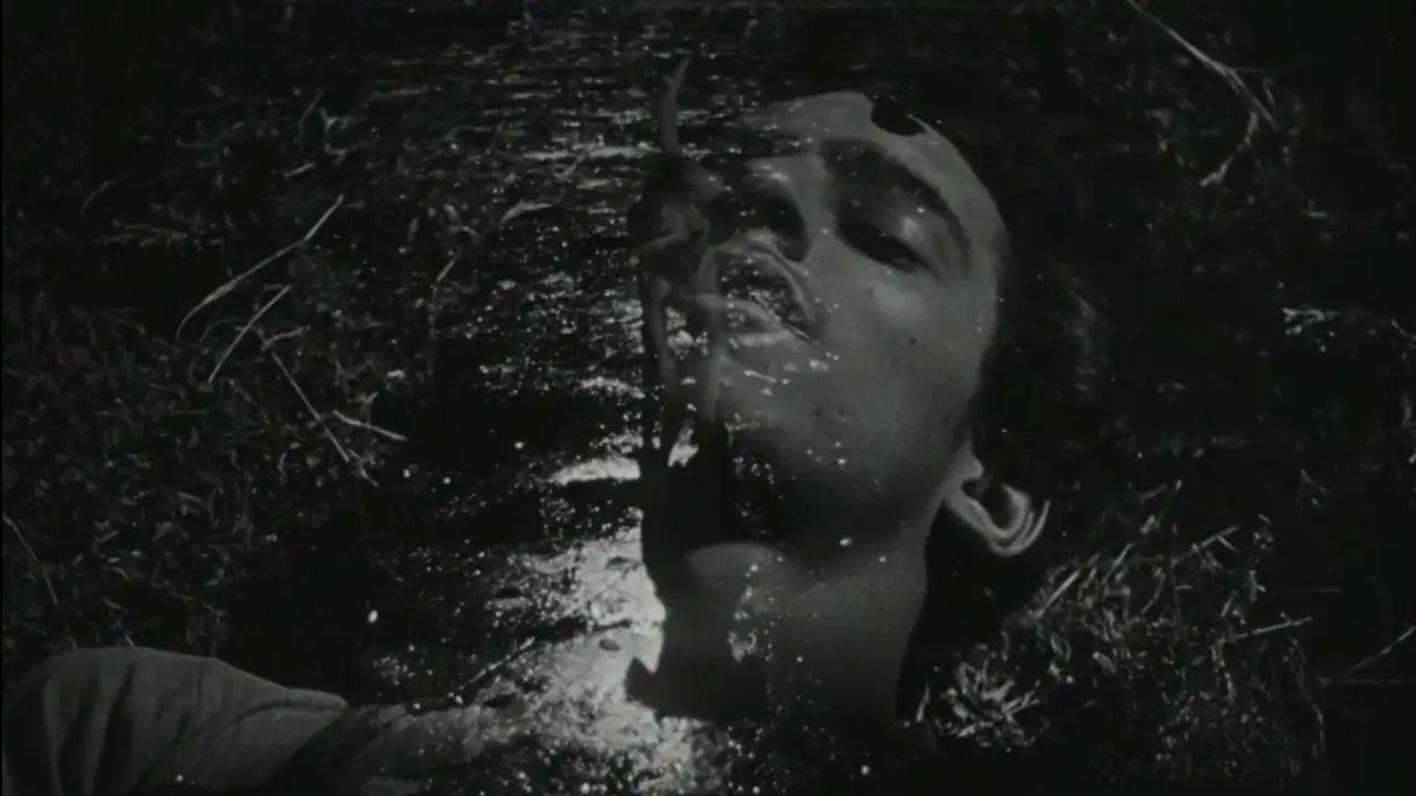 The Young and the Damned