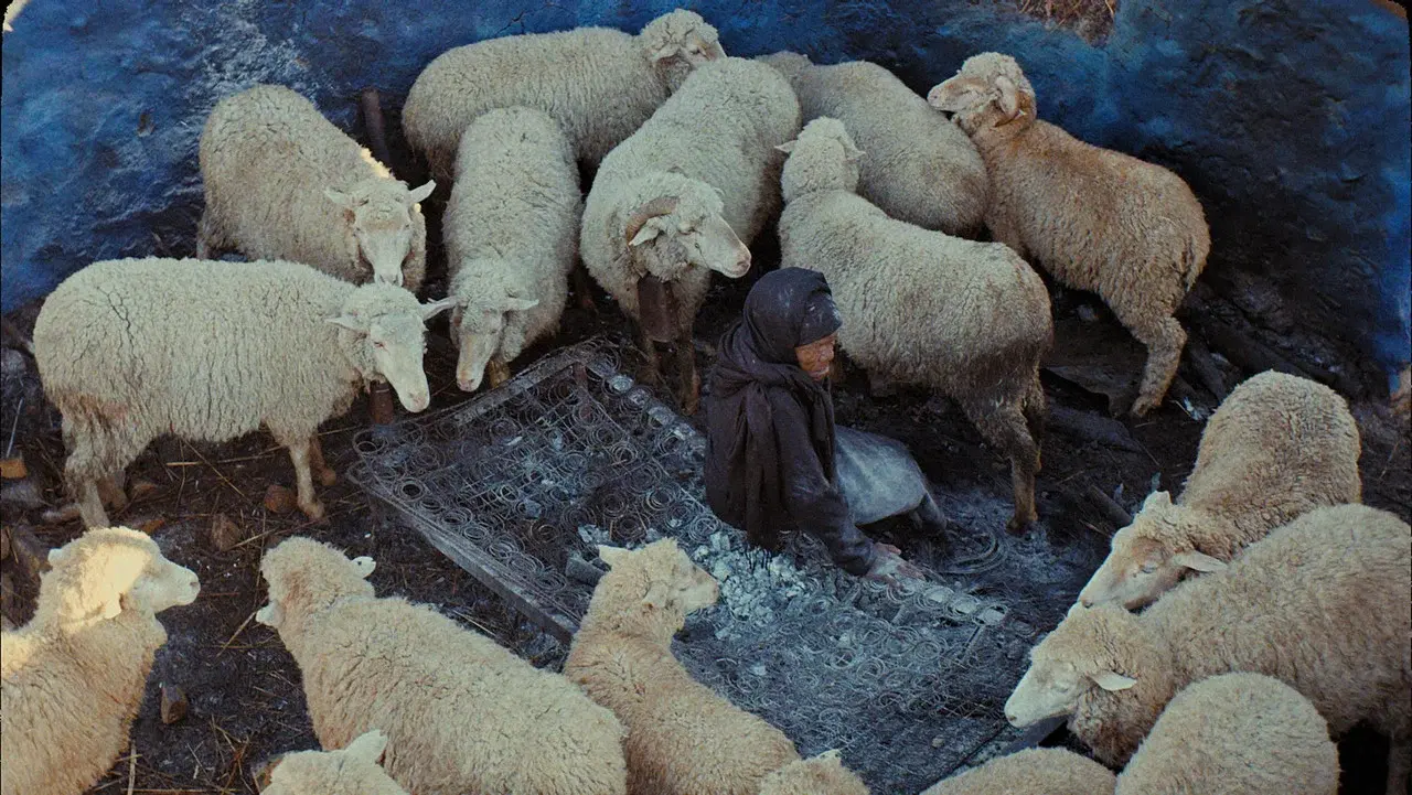 This Is Not a Burial, It's a Resurrection