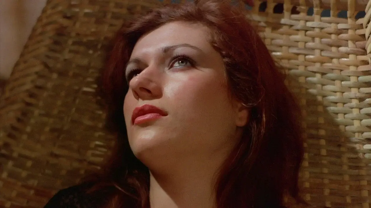 Around the World in 80 Beds