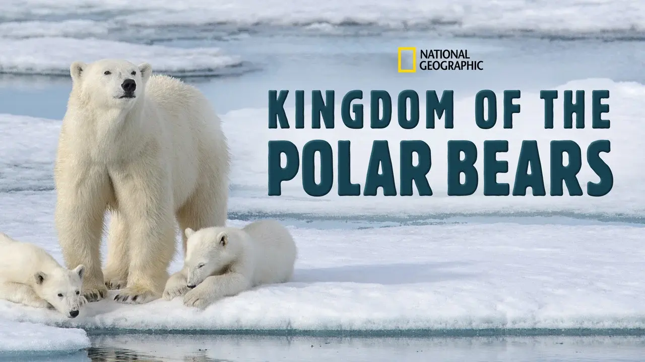 Kingdom of the Polar Bears
