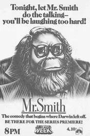 Mr. Smith