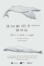 Dust is a Whale, is Sunlight
