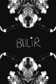 BULIR