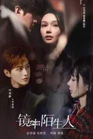 The Stranger in the Mirror