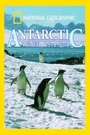 Antarctic Wildlife Adventure