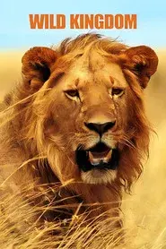 Wild Kingdom