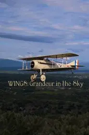 Wings: Grandeur in the Sky