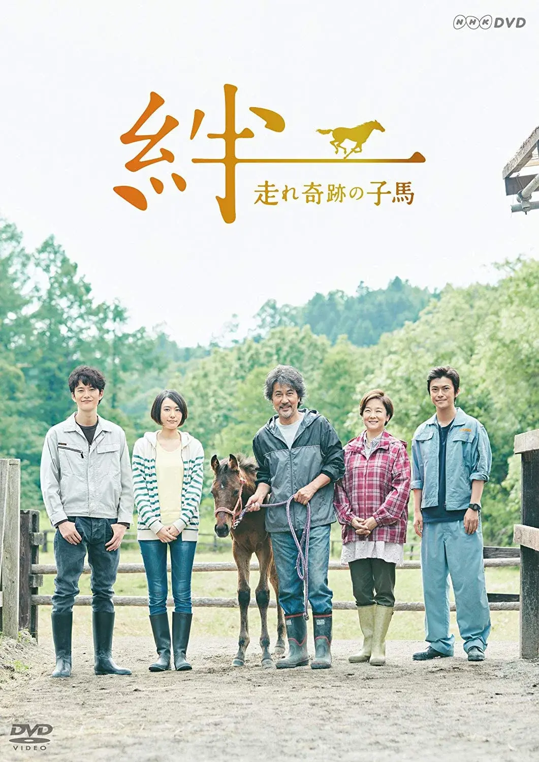 Ties: A Miraculous Colt