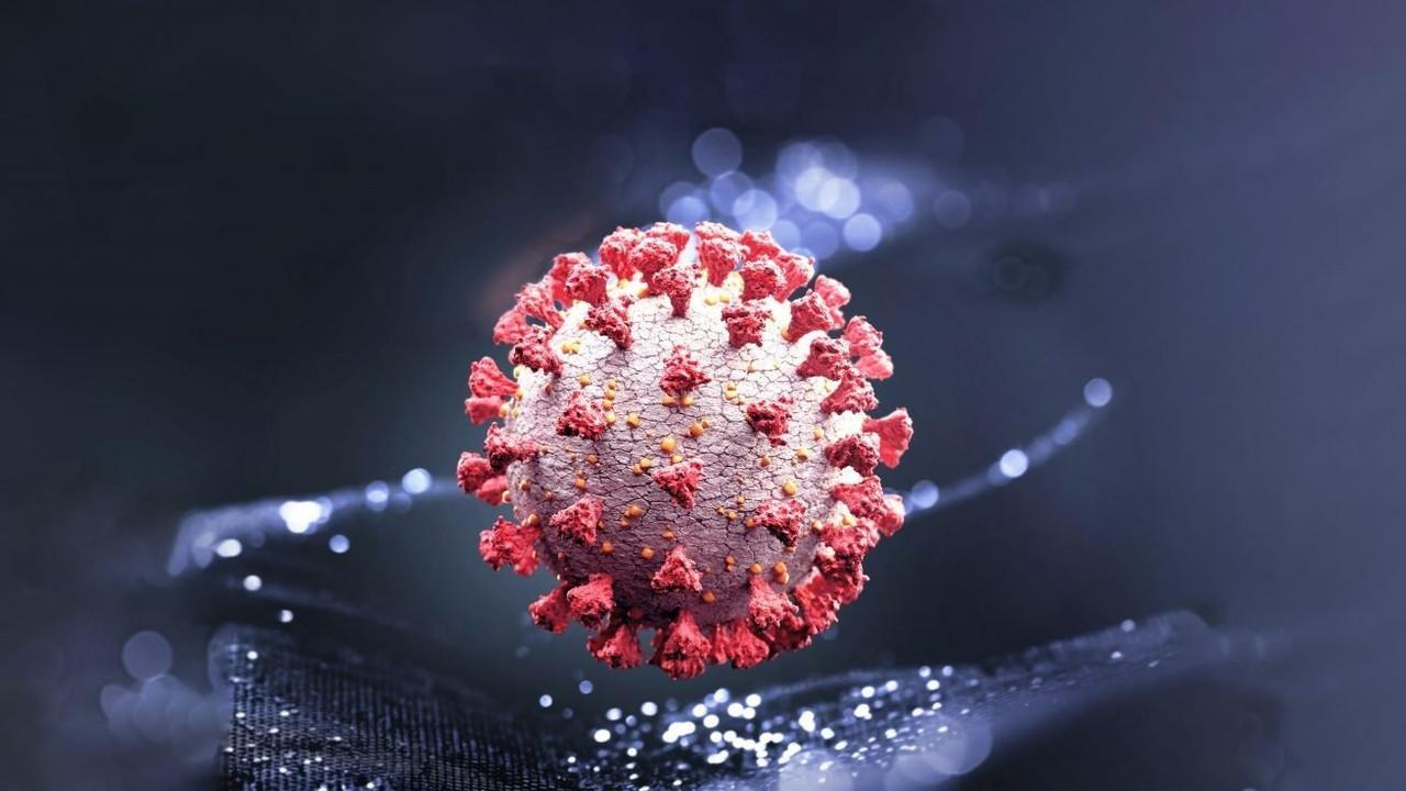 Covid 19: The World in Danger