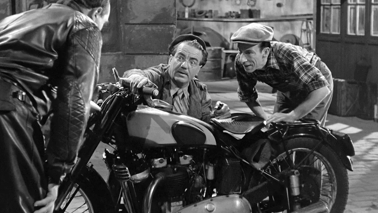 Beauties of the Night