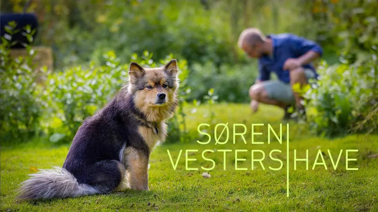 Søren Vesters have
