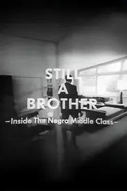 Still A Brother: Inside the Negro Middle Class
