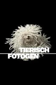 Animal Art: Photogenic Creatures