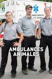 Ambulances animales