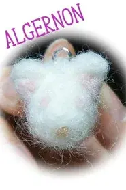 Flowers for Algernon